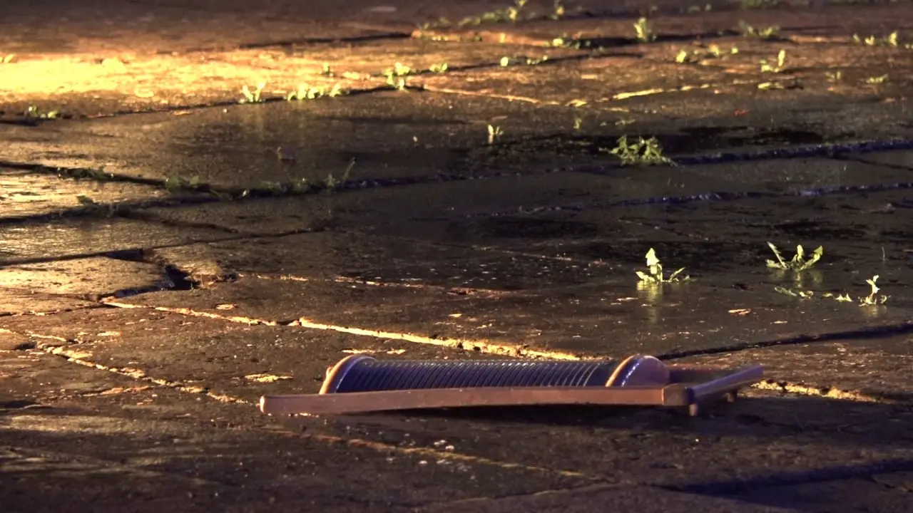 Eddy Ekete - Prewash-wash-drying-purification -  Performance im Innenhof, Japanisches Palais, 14.9.2017