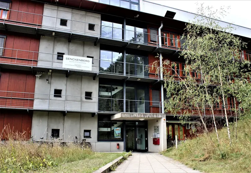 Eingangsbereich des Bibliotheksgebäudes